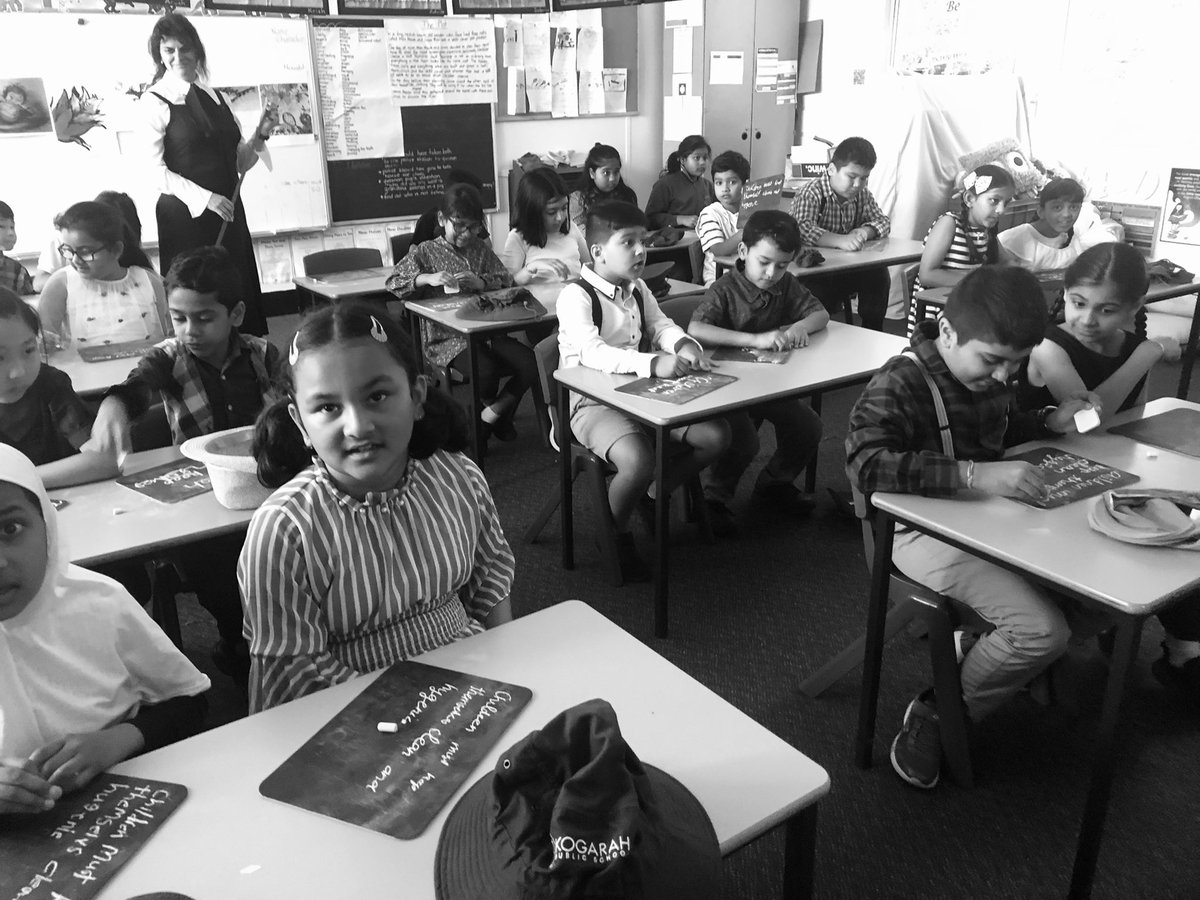 Kogarah Public School tweet media