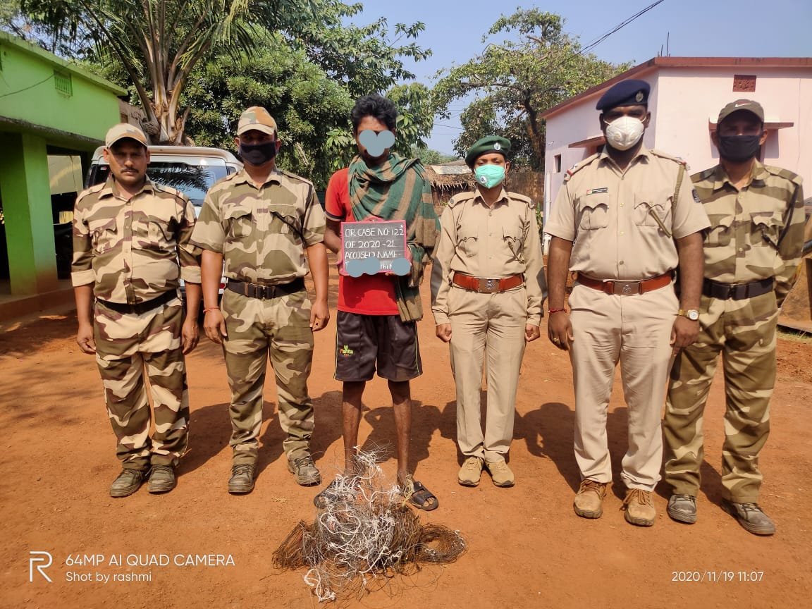 One person arrested, while laying traps for poaching Wild animals inside Rupabali RF yesterday night, by Sadangi Range Staff. @forestdeptt <a href="/pccfodisha/">PCCF & HoFF Odisha</a>