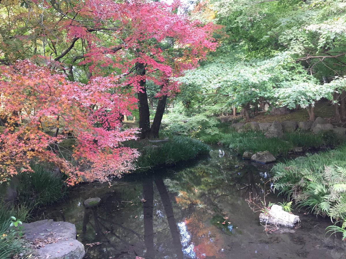 熊本市動植物園 公式 今度の3連休の週末は Kumamoto サプライzoo 驚きを感じてください さまざまな催しを行いますよー 詳細は T Co 6ve0peev0q 園内の紅葉も 色づいてきましたよー ぜひお越し下さい 熊本市動植物園 イベント 紅葉 熊本市動植物園 公式 今度の3連休の週末は Kumamoto サプライzoo 驚きを感じてください さまざまな催しを行いますよー 詳細は T Co 6ve0peev0q 園内の紅葉も 色づいてきましたよー ぜひお越し下さい 熊本市動植物園 イベント 紅葉