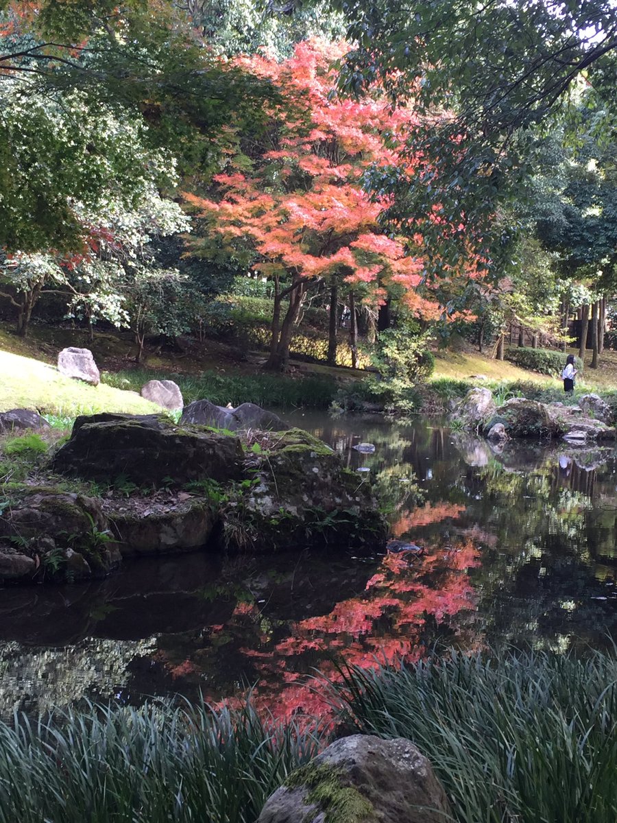 熊本市動植物園 公式 今度の3連休の週末は Kumamoto サプライzoo 驚きを感じてください さまざまな催しを行いますよー 詳細は T Co 6ve0peev0q 園内の紅葉も 色づいてきましたよー ぜひお越し下さい 熊本市動植物園 イベント 紅葉 熊本市動植物園 公式 今度の3連休の週末は Kumamoto サプライzoo 驚きを感じてください さまざまな催しを行いますよー 詳細は T Co 6ve0peev0q 園内の紅葉も 色づいてきましたよー ぜひお越し下さい 熊本市動植物園 イベント 紅葉