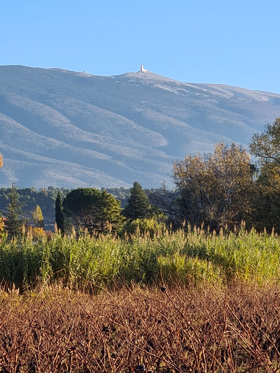 patrickchene's tweet photo. Entendu ce matin sur @franceinter: les dons aux associations n'ont pas baissé malgré la crise. Ne lâchez pas. Plus que jamais.
Et ce matin le Ventoux est beau... https://t.co/36XAMqoseK