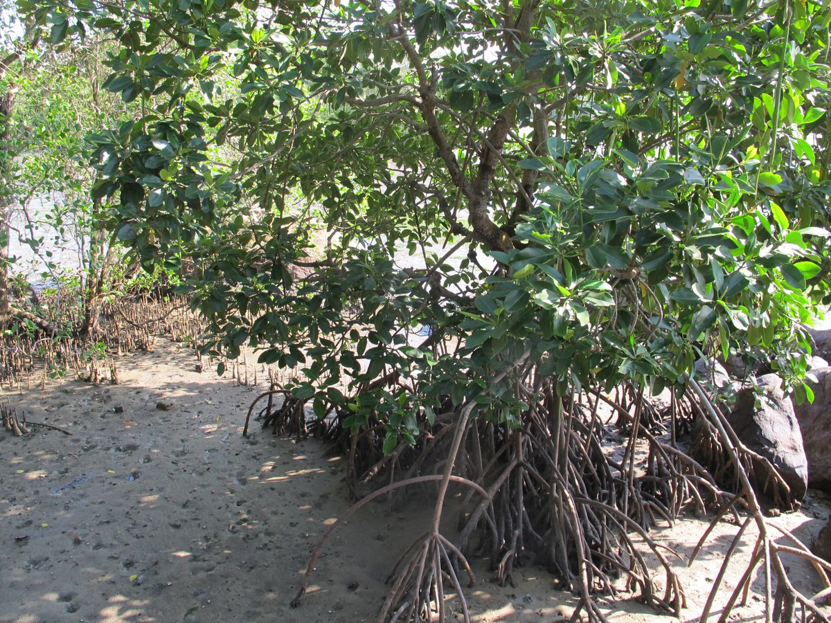 Dom Andradi-Brown tweet media