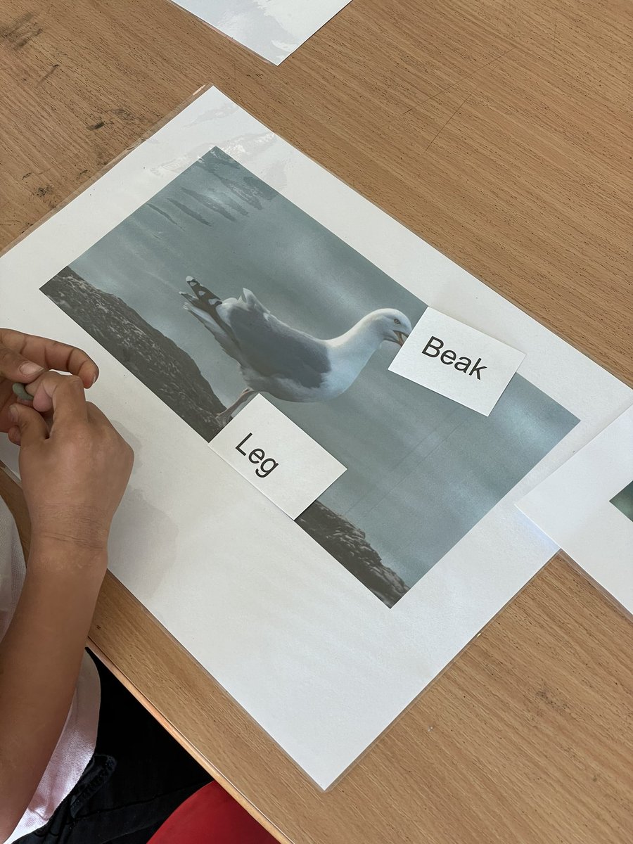 Mr Ellmore tweet media