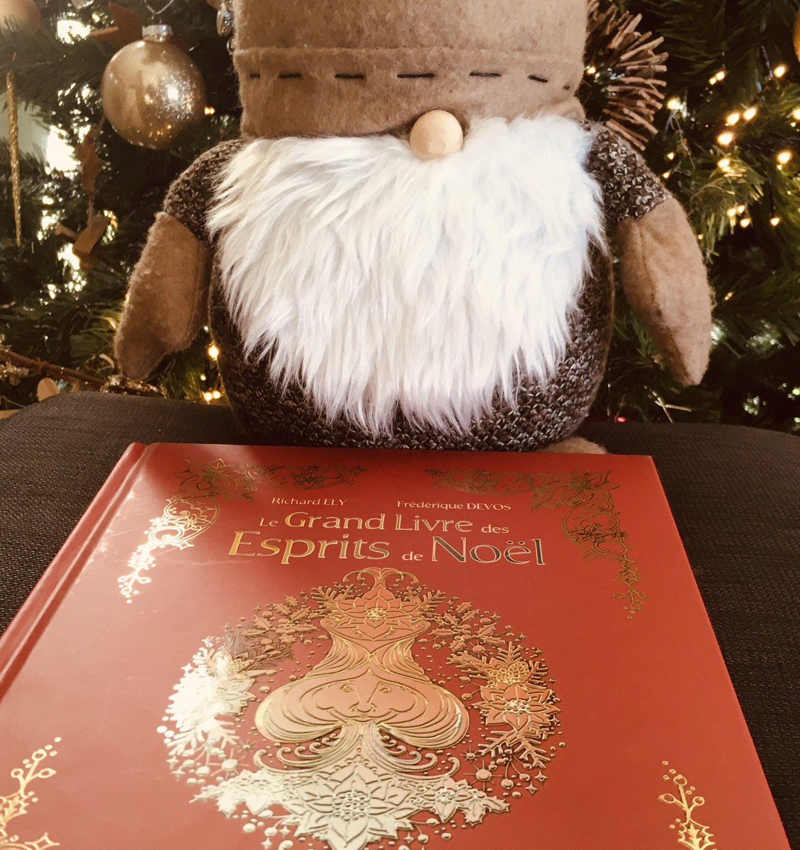 Encore plus que les autres années, ce Noël s’annonce riche en traditions. Un besoin de se ressourcer... ça tombe bien, Le Grand Livre des Esprits de Noël est de retour en librairie ! Éditions Véga /Trédaniel.