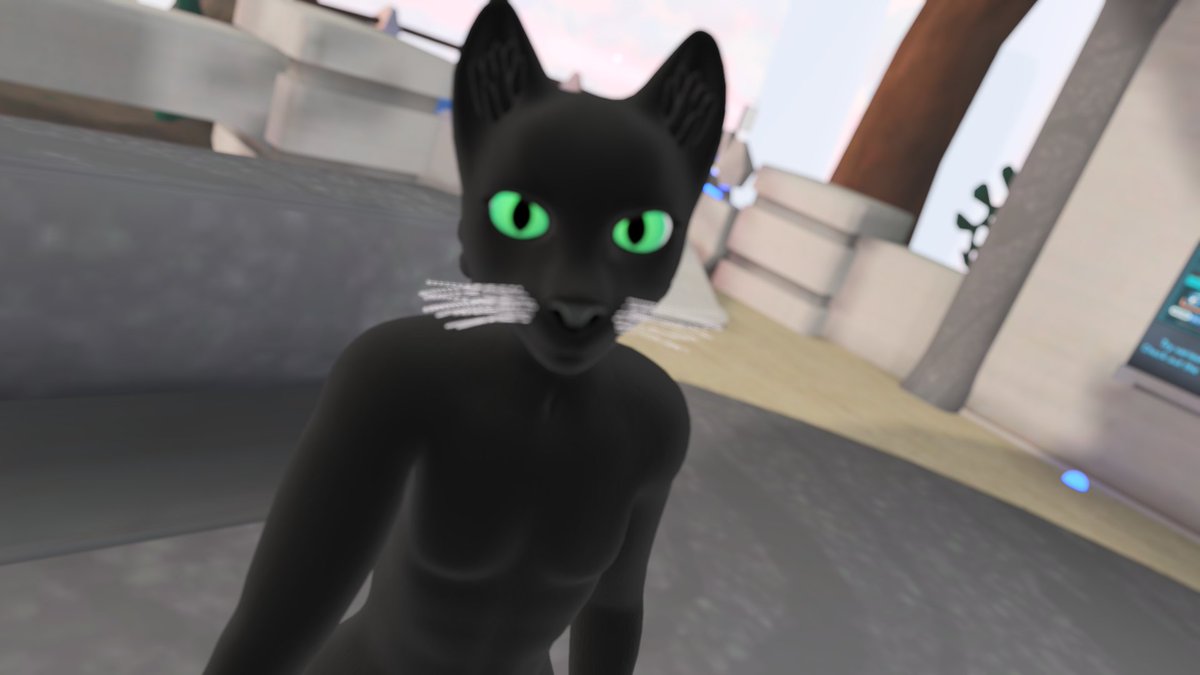 Mier the Black Cat VRCHAT AVATAR