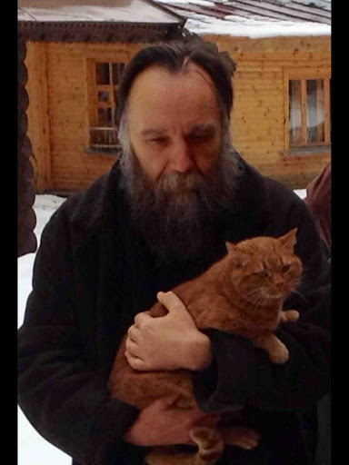 Dormant K tweet media