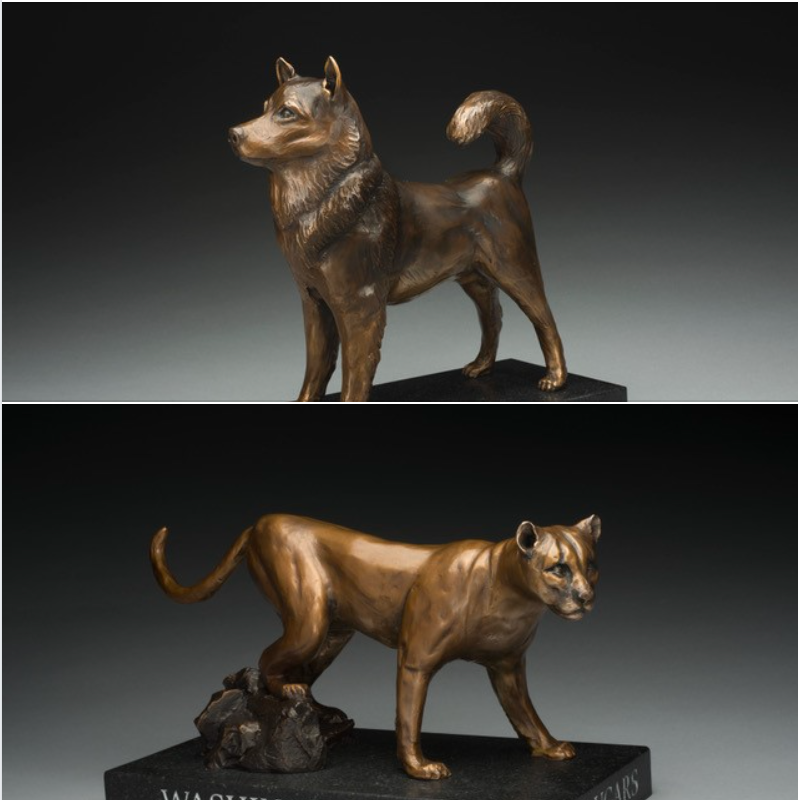 SeattleFOT's tweet image. Cougar or Husky? You can bid on both at the live auction starting November 16 and ending at the virtual auction on November 21. Don't miss your chance for one of these gorgeous bronze sculptures! Register for free and start shopping. seattlefestivaloftrees.ejoinme.org/mainpage