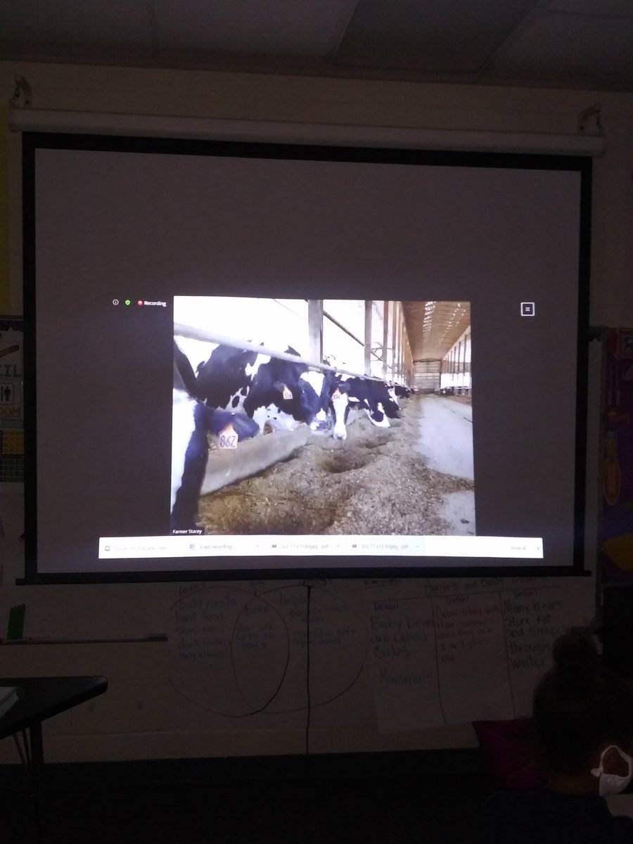 beachteach49's tweet photo. My 2nd grade class took a live Virtual field trip today to a dairy farm with Farmer Tracy ❤ @JoanJplav @mimi0906 @CScottWAE1 @WoodwardStars @LedetJeanene @lmlucero1 @ https://t.co/NuTKqbJrEt