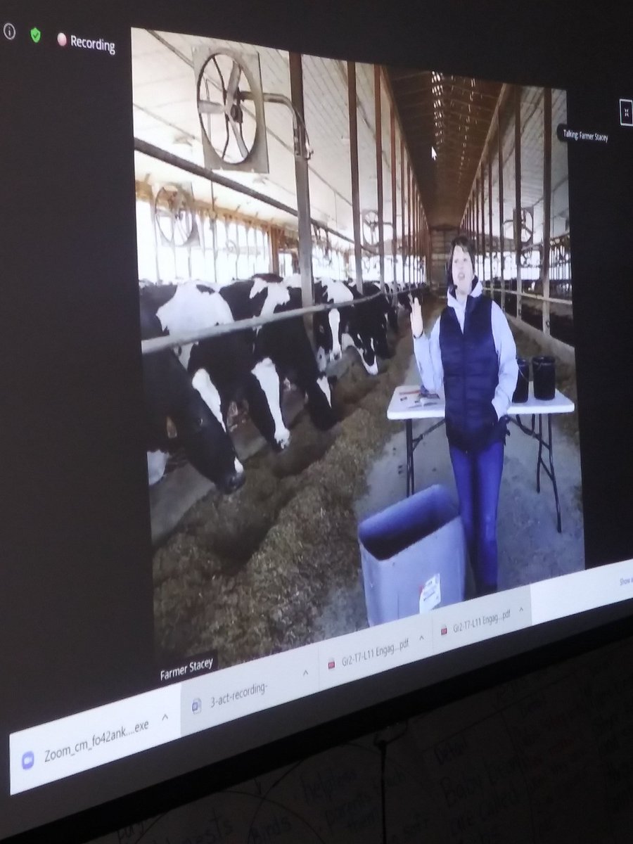 beachteach49's tweet photo. My 2nd grade class took a live Virtual field trip today to a dairy farm with Farmer Tracy ❤ @JoanJplav @mimi0906 @CScottWAE1 @WoodwardStars @LedetJeanene @lmlucero1 @ https://t.co/NuTKqbJrEt