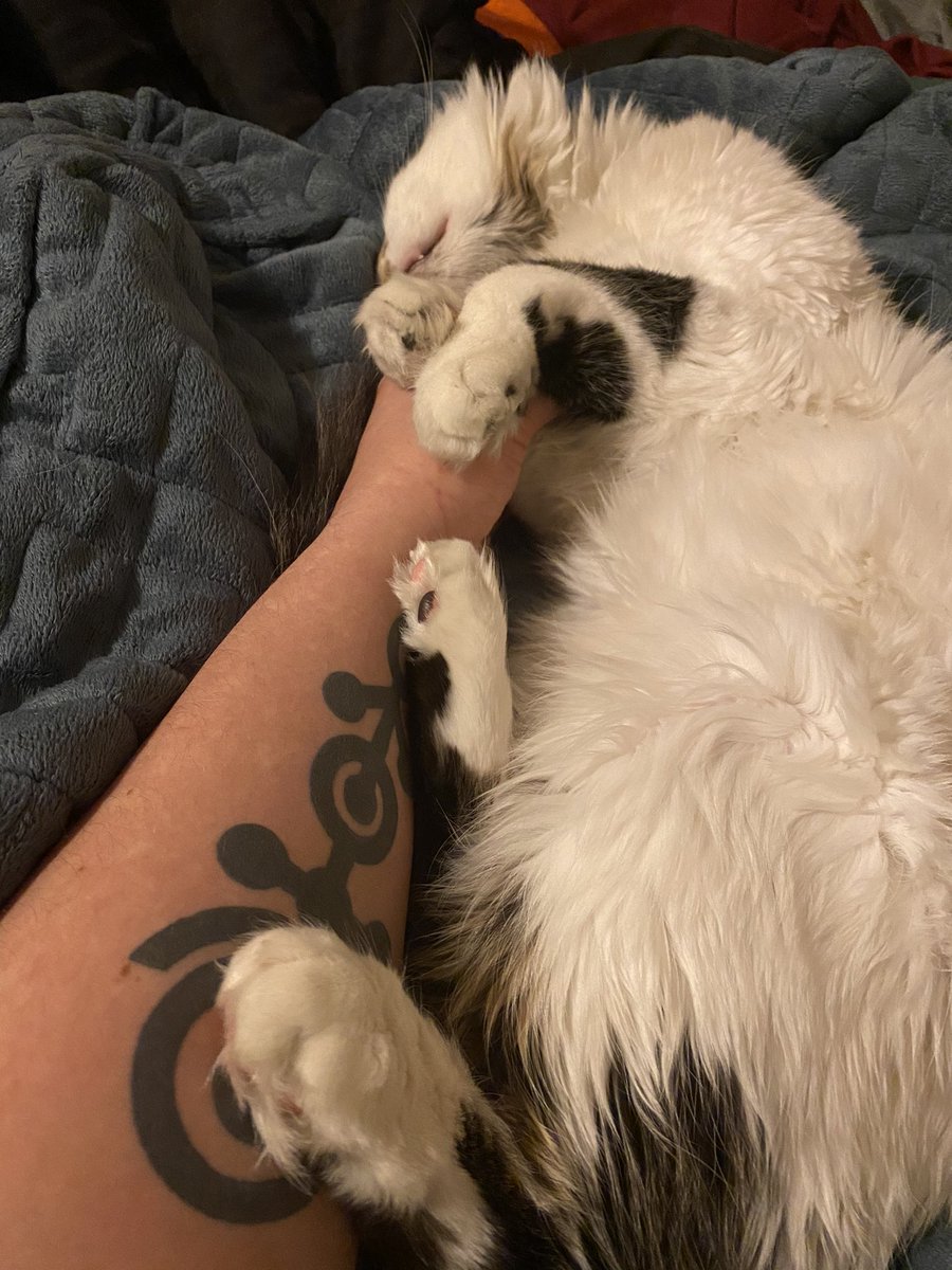 all my peets in a row adn one(1) toof...very Rare