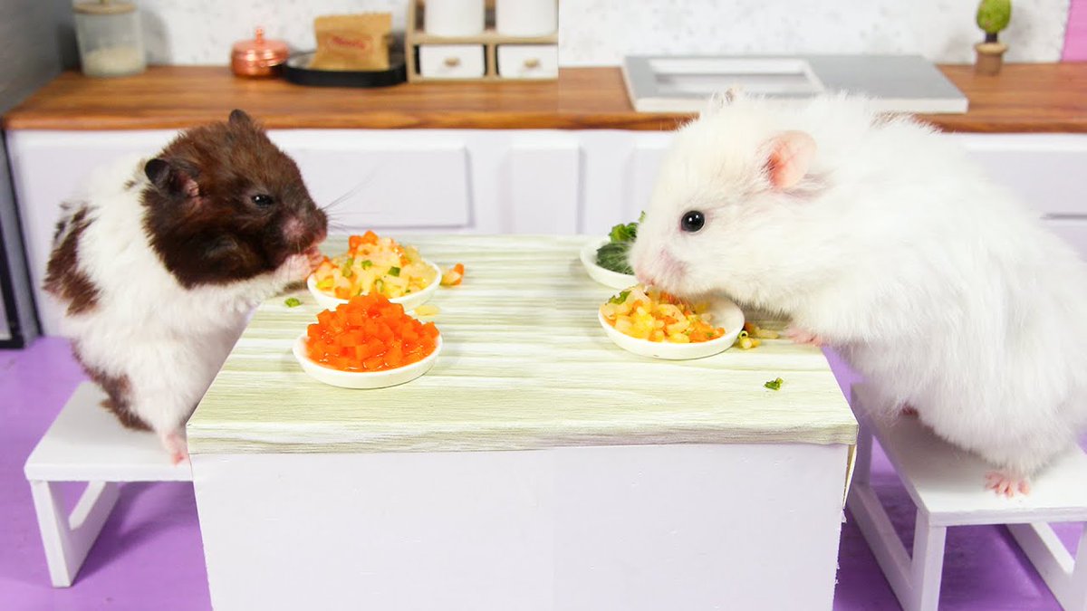 95Caddie's tweet photo. Making Fried Egg Rice with cute Hamsters - Mini cooking https://t.co/9EgzL1ZN9u
#likeforlike #follobackforfolloback #pets #cute #food #challenge #adorable #Creative #ToyStory #games #DIY #miniatures #HandmadeInUK #kitchens #Winteriscoming #Rice #eggs https://t.co/NqQ0mxyzuL