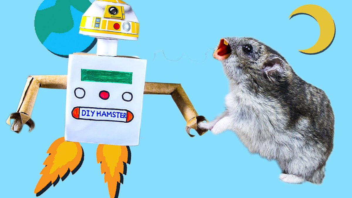 MinaEllen94's tweet photo. Rocket Robot vs cute Hamster pet but has Traps in the maze OBSTACLE COURSE https://t.co/idqPo7kujF
#likeforlike #follobackforfolloback #pets #animal #cute #cardboard #challenge #adorable #hamster #animallovers #maze #trap #DIYtoy #handmade #Winteriscoming #Monsterland #robot https://t.co/hglaLs4Jjx