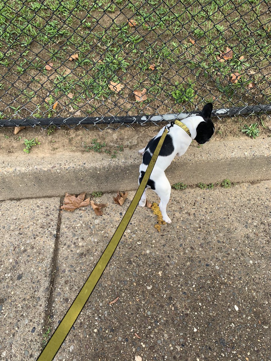 Cookie_IsBack's tweet photo. This lil boy farts be ballin😩we all blaming each other😭😭😭 https://t.co/kWWfD6Vz0A