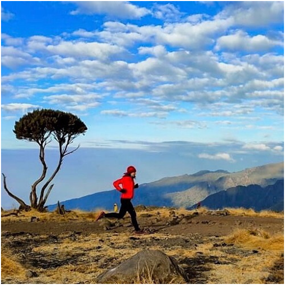 spoonbilltours's tweet photo. Let’s go up.

Running above the clouds. was actually not allowed by the guides 😉 Pole pole to make sure our bodies can adapt to the height. But of course slow was boring so we had loads of energy left. On most days.

#kilimanjaro #tanzania #africa #travel #adventure #hiking https://t.co/rib4lxbQMY