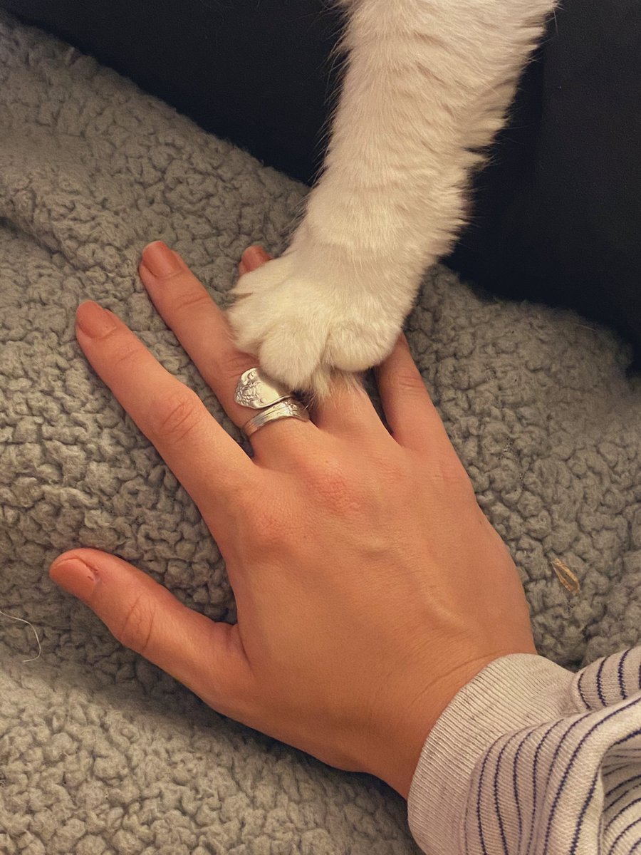 Amanda Davis tweet media