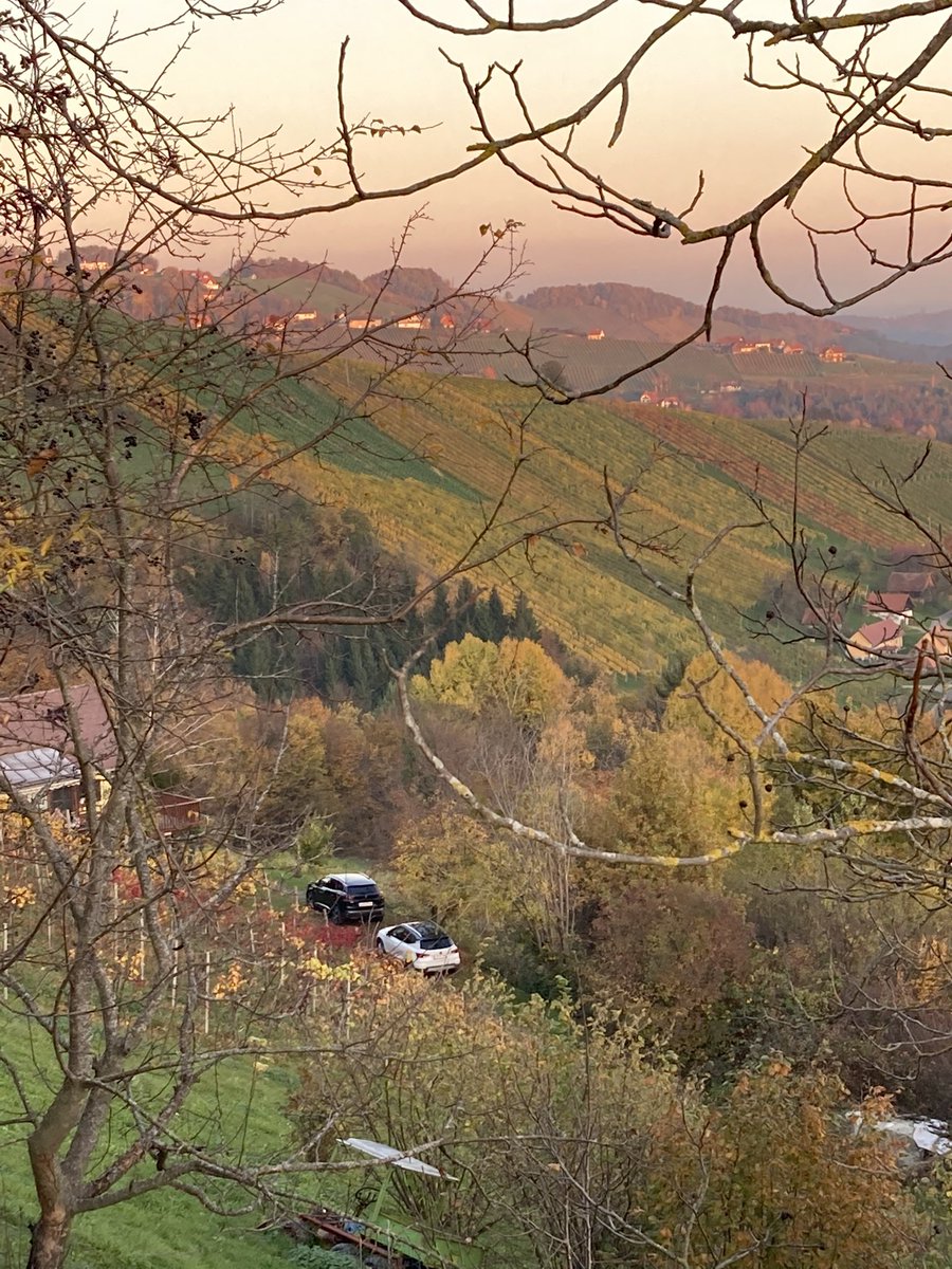 v_brandner's tweet photo. Das #Sausal in der #Südsteiermark, das ist Idylle, wie ich sie mag! https://t.co/UUiwd4SJBF