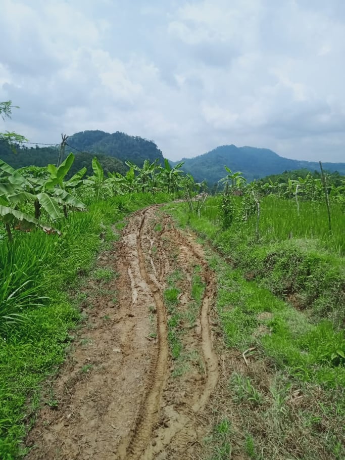 achmadsoetarno's tweet photo. #MenujuDesaMaju #VisiIndonesia
Kami Ketua Umum DPP Perkumpulan P2D berharap Pemerintah dapat membangun jalan akses menuju sentral produksi pertanian di Desa Jembangan Kec. Punggelan Kab. Banjarnegara Jawa Tengah.
@jokowi
@halimiskandarnu
@ganjarpranowo https://t.co/tgIeyE9kwi