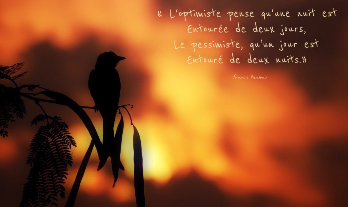 colombinepier's tweet photo. Bonne nuit, jolis rêves, le monde...😴💤
#WeekEndDe4Jours #YAY 
#ligue_des_optimistes https://t.co/pCg5lHORLc