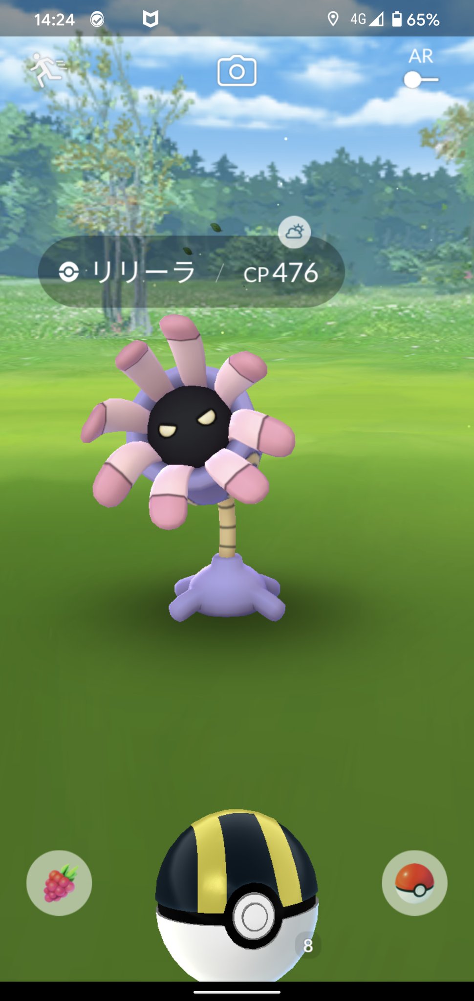 鬼場 那葵 きば なき 化石ポケモン も前までならgoならスパボやハイボ個体が手に入ると喜んでいたのも今は過去の話 笑 冠の雪原実装でタテトプスとズガイドス以外は野生やレイド でオシャボ厳選可能になっちゃいましたからね レイドでは化石メラも含む 笑