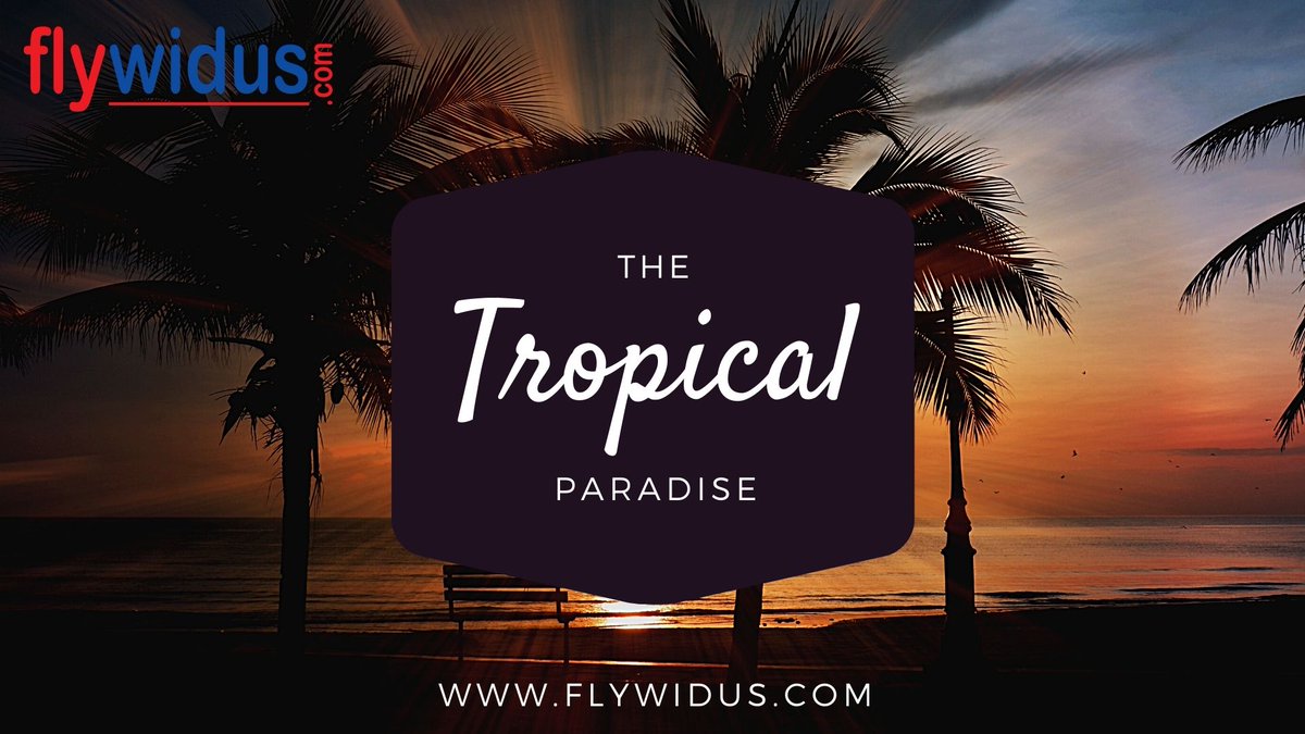 The Tropical Paradise!! 
#flywidus #Paradise #paradiseisland #ParadiseOnEarth #ParadiseBeach #paradisevalley #paradiseofminimal #paradisetinterior #ParadiseFound #paradiselost #paradisecanada #paradisecove #ParadiseOfPetals #paradisecoast #paradisecity #paradisepier
