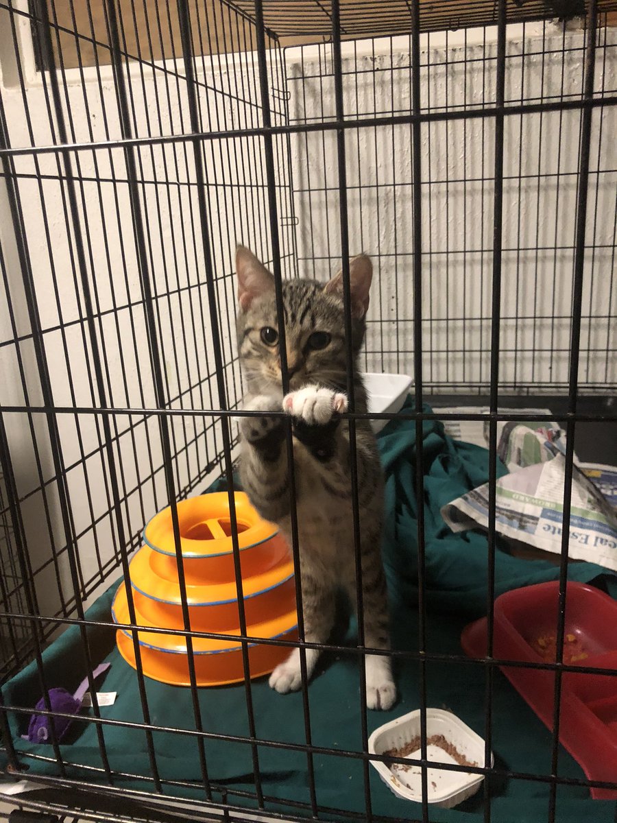 #GiveMiamiDay will you help Ava? Givemiamiday.org