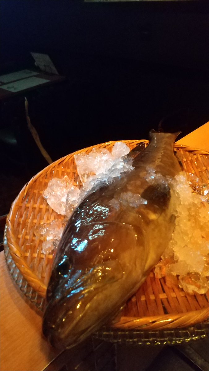 赤坂日本酒 海舟 赤坂日本酒海舟 本日のおすすめお刺身 北海道産 ホッケ 長崎県産 九絵 ホッケの頭はかぶと煮 九絵の頭は酒蒸し 赤坂日本酒 赤坂刺身 赤坂煮物 赤坂海舟