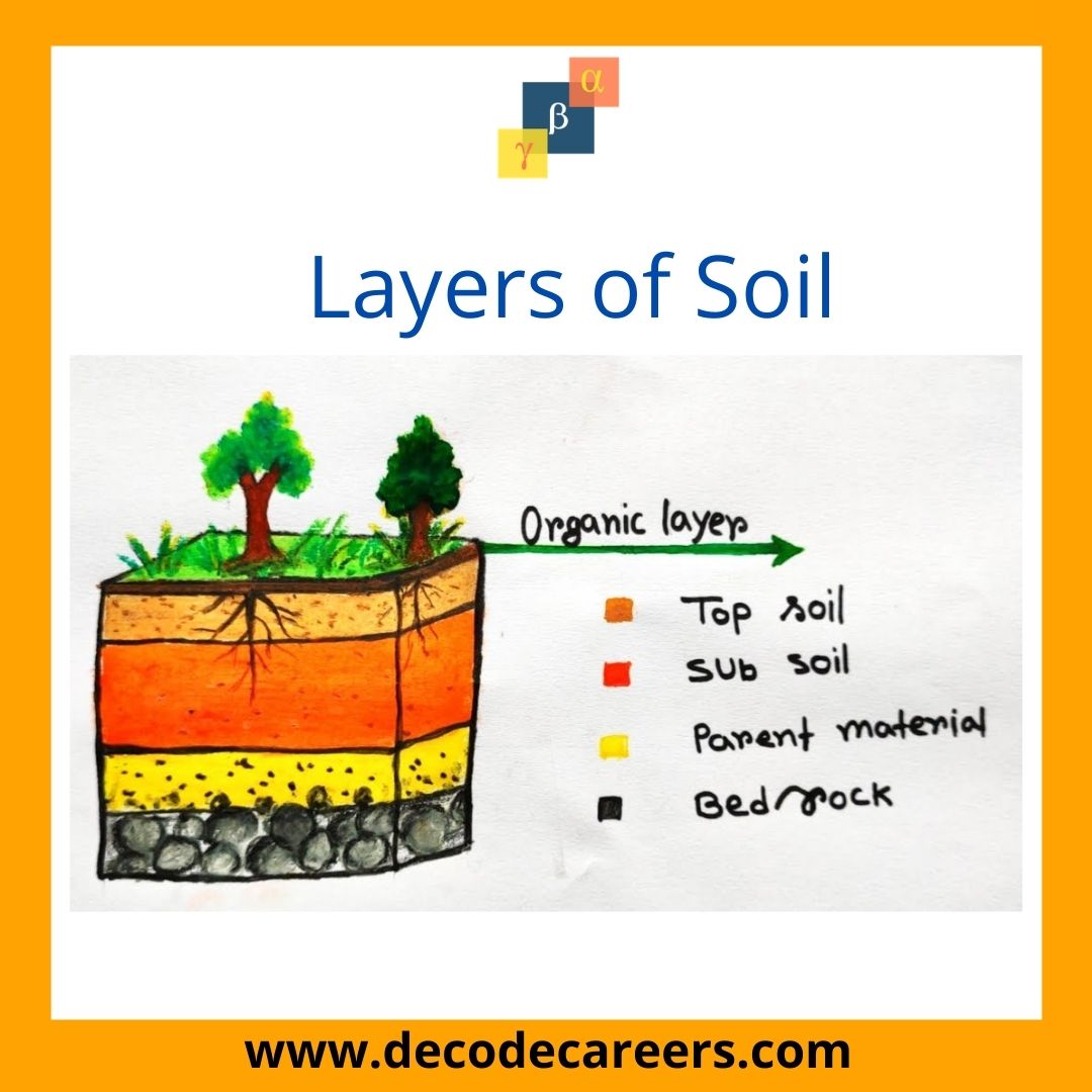 DecodeCareers's tweet photo. Layers of soil
#soil #agriculture #nature #organic #gardening #plants #garden #soilhealth #cannabis #soilscience #growyourown #plant #photography #farming #water #compost #weed #earth #horticulture #cannabiscommunity #love #hydroponics #fertilizer #decodecareers #decodemaths https://t.co/VNOx70xgQP