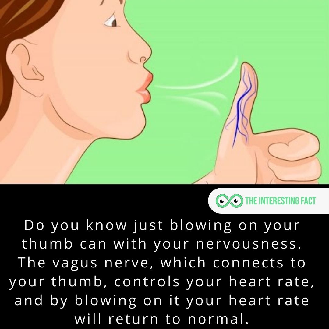 Do you know just blowing on your thumb can with your nervousness. The vagus nerve, which connects to your thumb, controls your heart rate, and by blowing on it your heart rate will return to normal.

#facts #factsoflife #fact #didyouknow #allfacts #mysteriousfacts #factz