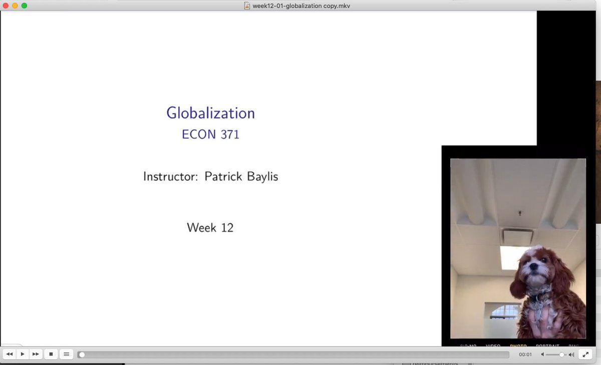 LECTURES IRather than force students to watch me ramble for 80 minutes twice a week over Zoom, I gave weekly lectures as short, single-topic videos. Each week I uploaded five or six 5-12 minute videos. Sometimes my dog got involved.2/17