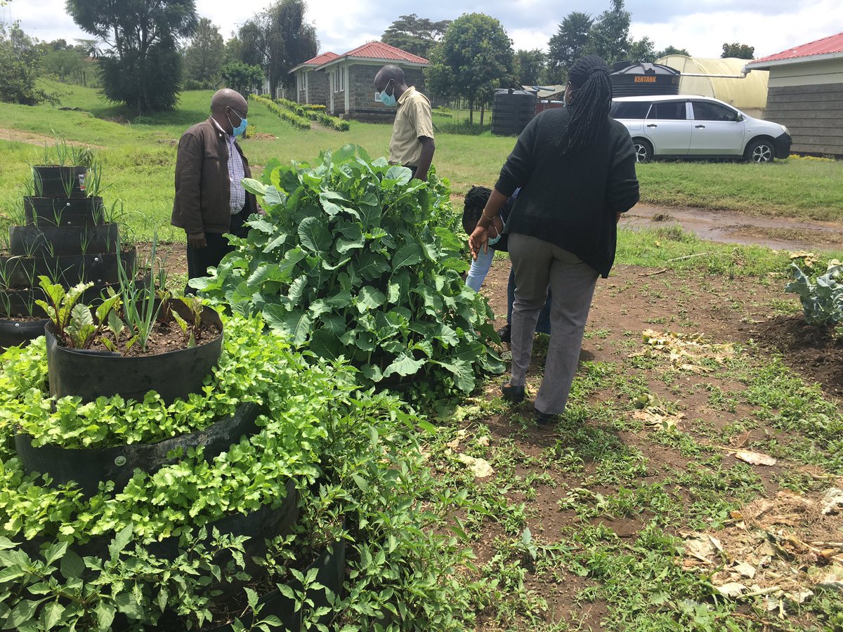 NakuruFarmersCallCentre tweet media