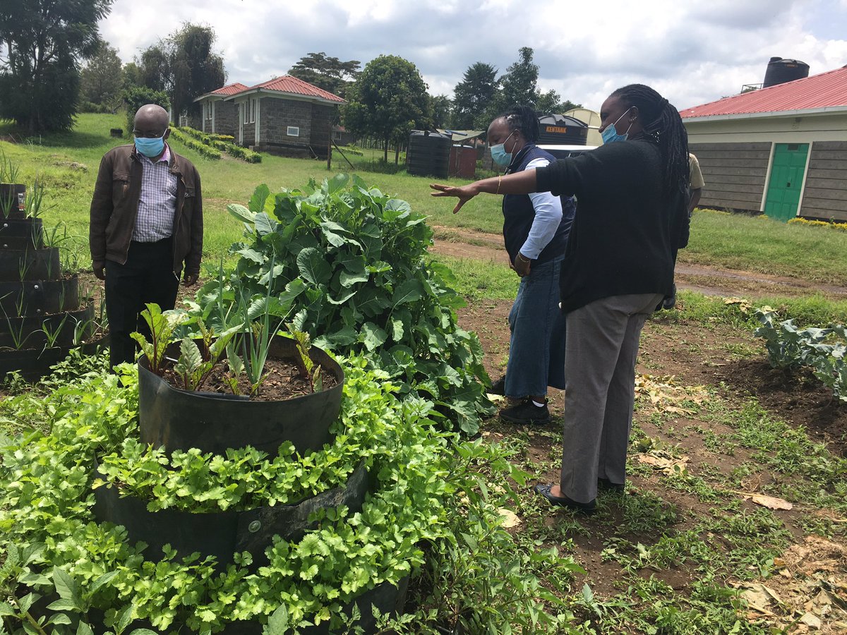 NakuruFarmersCallCentre tweet media