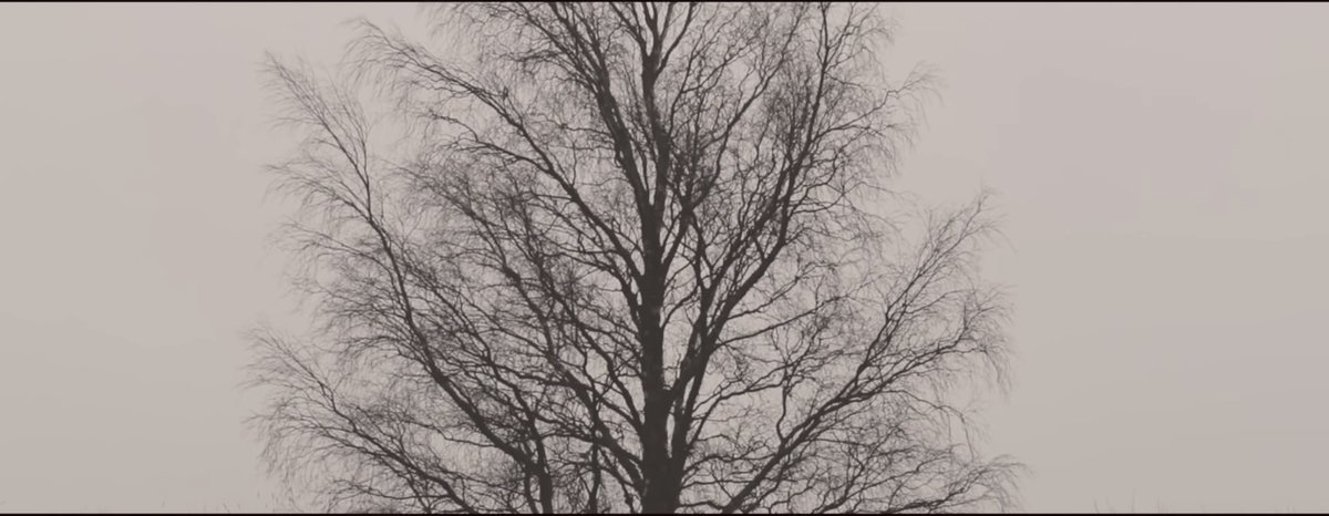 jungkook uses a lot of symmetry in his gcfs, especially something calling axial symmetry which is mirror accros an axis in the shot. he uses this a lot when he’s capturing the members by themselves. this is usually to emphasize the subject and their importance.