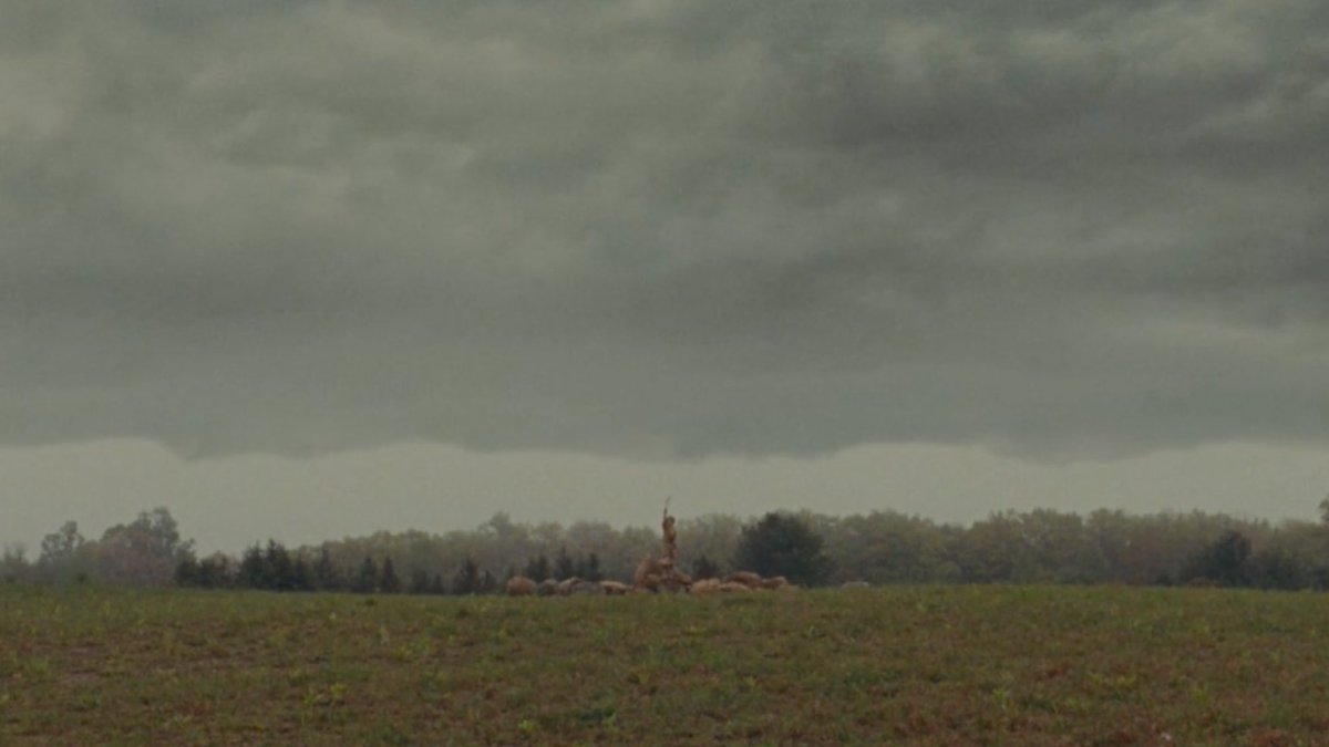 also !! when he does use axial symmetry it reminds me a lot of wes anderson’s movies (if you don’t know he’s famous director who uses symmetry in his movies who directed movies like fantastic mr fox, grand budapest hotel)here are shots from his movies that remind me of gcfs