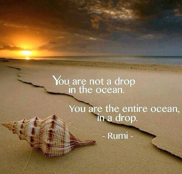 View Rumi Quotes In Hindi And English Pictures
