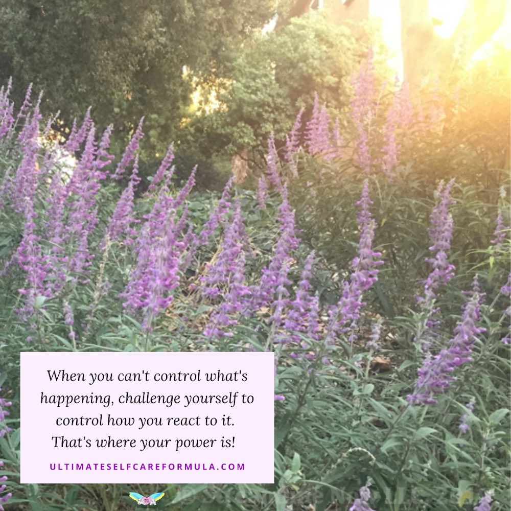 ultimatescf's tweet image. When you can’t control what’s happening, challenging yourself to control how you react to it! 
Visit: ultimateselfcareformula.com 👈
#healthandwellness #selfcare #holistichealth #growth #happiness #personaldevelopment #education #inspiration #cherish #connect #gratitude #healing