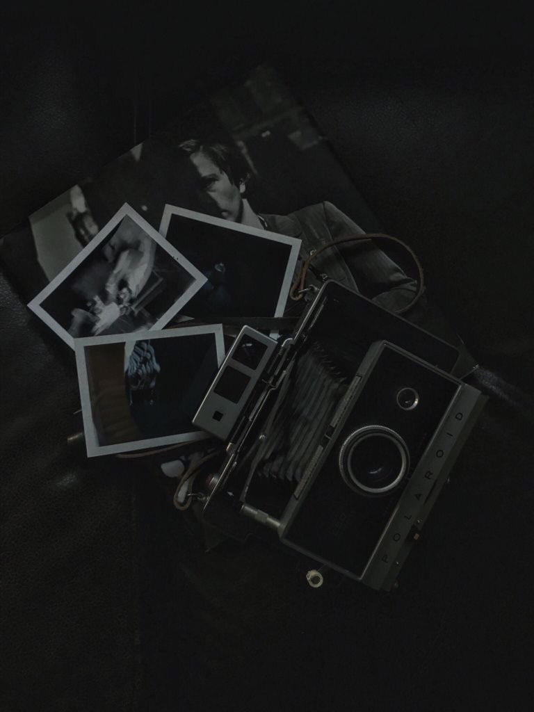 𝙩𝙞𝙚𝙧 tweet media