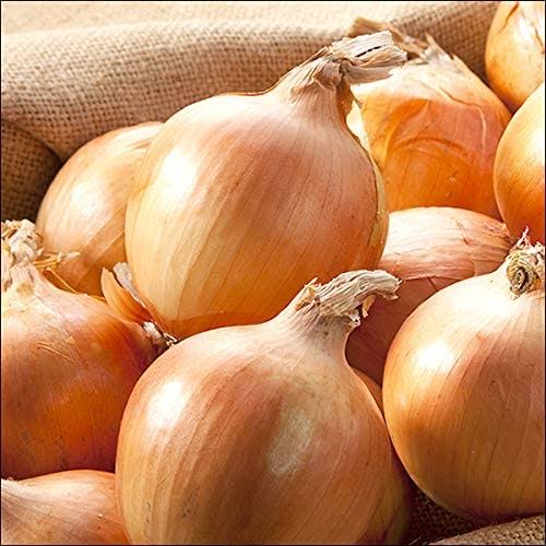 青髪のテツ 野菜のプロ 玉ねぎの保存方法 丸ごとの場合 常温保存 新聞紙にくるむ 使いかけの場合 冷蔵保存 空気が入らないようにラップする 冷凍保存もok 丸ごとなら常温で2ヶ月はもちます 湿気には弱く高いと根や芽が生えたり 腐り 青髪のテツ 野菜のプロ 玉ねぎの保存方法 丸ごとの場合 常温保存 新聞紙にくるむ 使いかけの場合 冷蔵保存 空気が入らないようにラップする 冷凍保存もok 丸ごとなら常温で2ヶ月はもちます 湿気には弱く高いと根や芽が生えたり 腐り