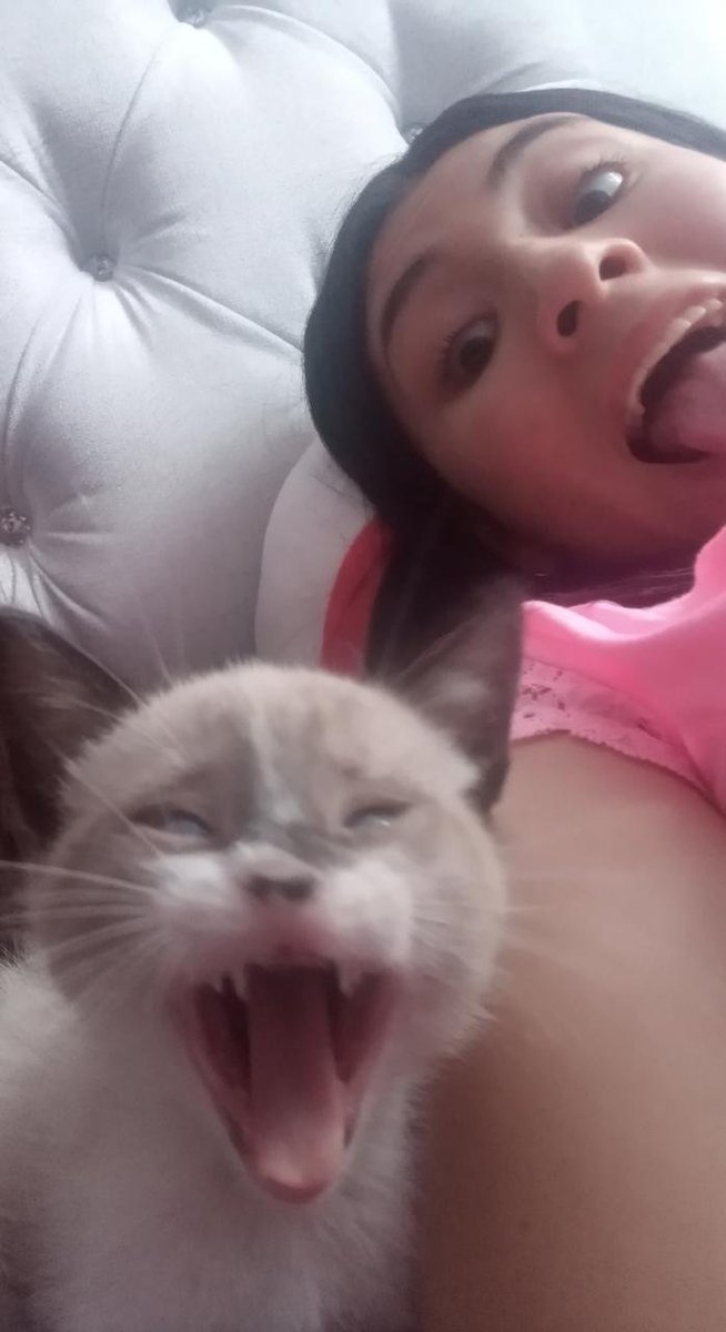 museolasalle's tweet photo. #MLSComparteContigo #EventosMLS #lasalleedagarra 
- NOMBRE DE LA PARTICIPANTE: María Lucila Ramirez Matiz
- PERFIL: Egresada
- NOMBRE DE LA MASCOTA: Polar
- ACERCA DE ÉL:  "Mi mascota es un gato de dos meses, se llama POLAR es muy fotogénico y le encantan las fotos". https://t.co/ZkADxPUsmZ