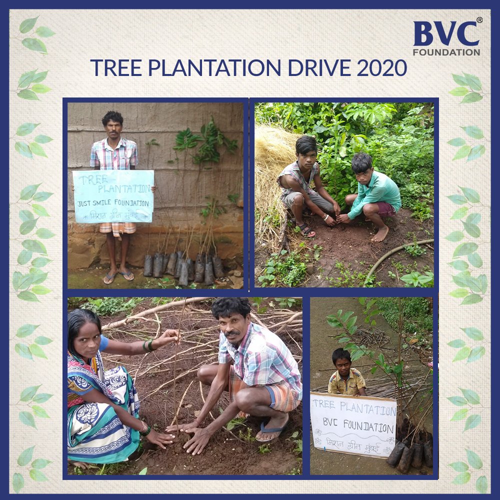 BVCFoundation's tweet photo. Since trees are man’s best friend, let us add many more trees, so that we can have many best friends. 
We are doing our part, what about you?

In association with @missiongreenmumbai

#BVCFoundation #Plantation #TreePlantationDrive  #TreesMansFriend #SaveNature #FruitTrees https://t.co/Bf0wrk89MD