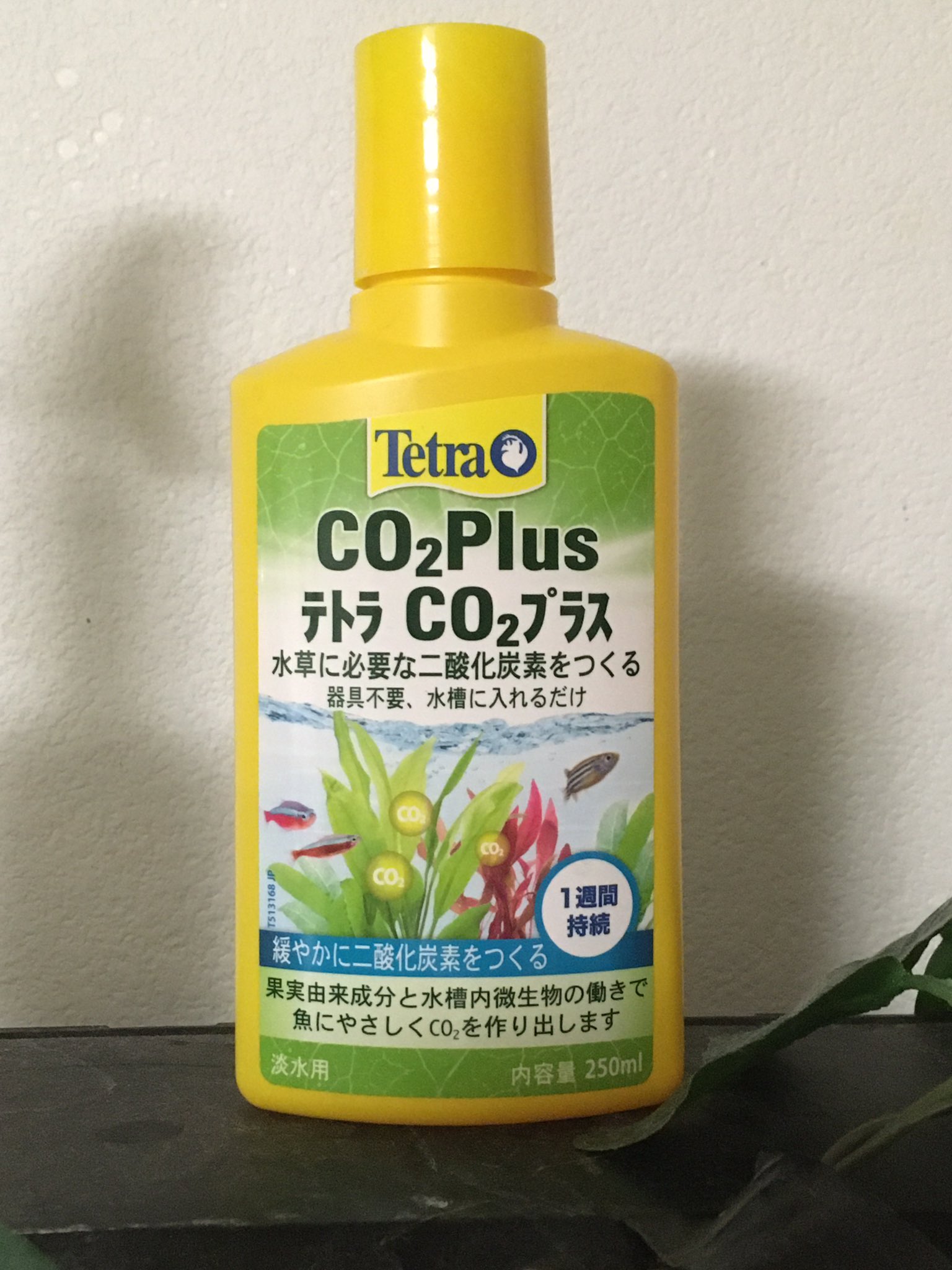 ﾃﾄﾗco2ﾌﾟﾗｽ Twitter Search Twitter