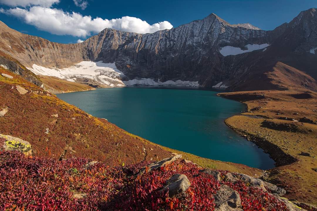 Eco Vibes 🌍 tweet media