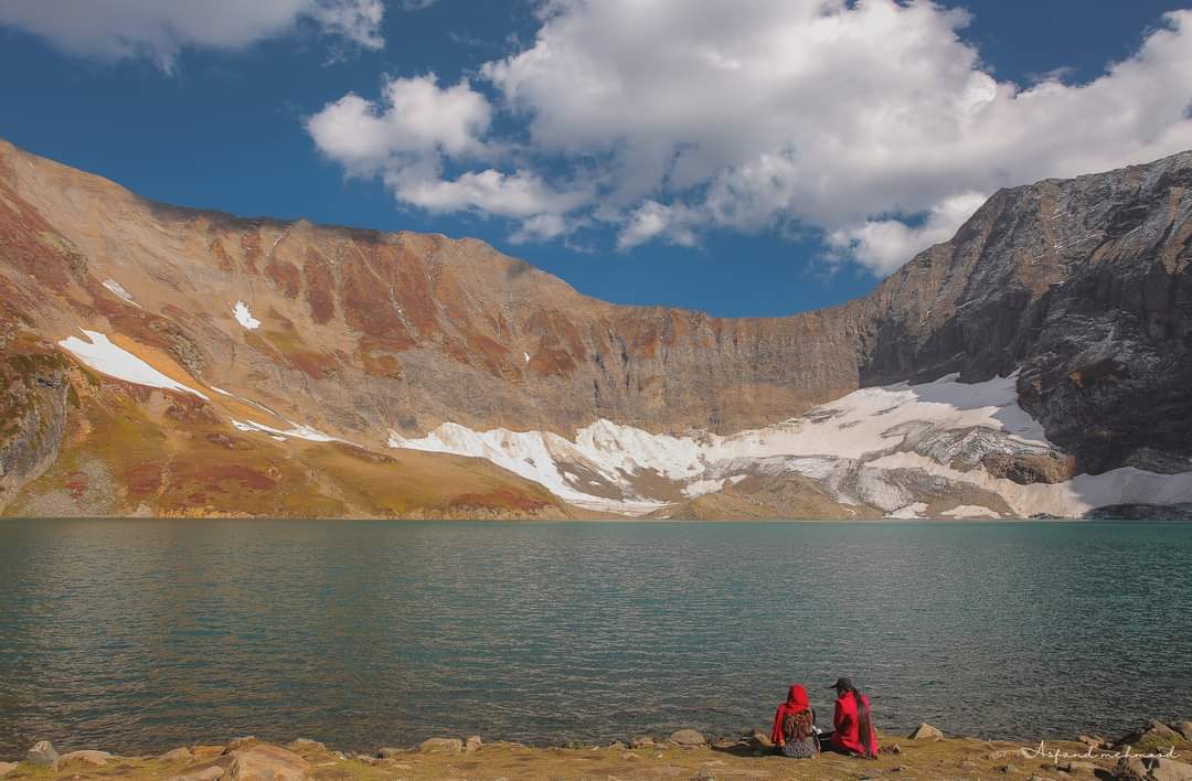 Eco Vibes 🌍 tweet media