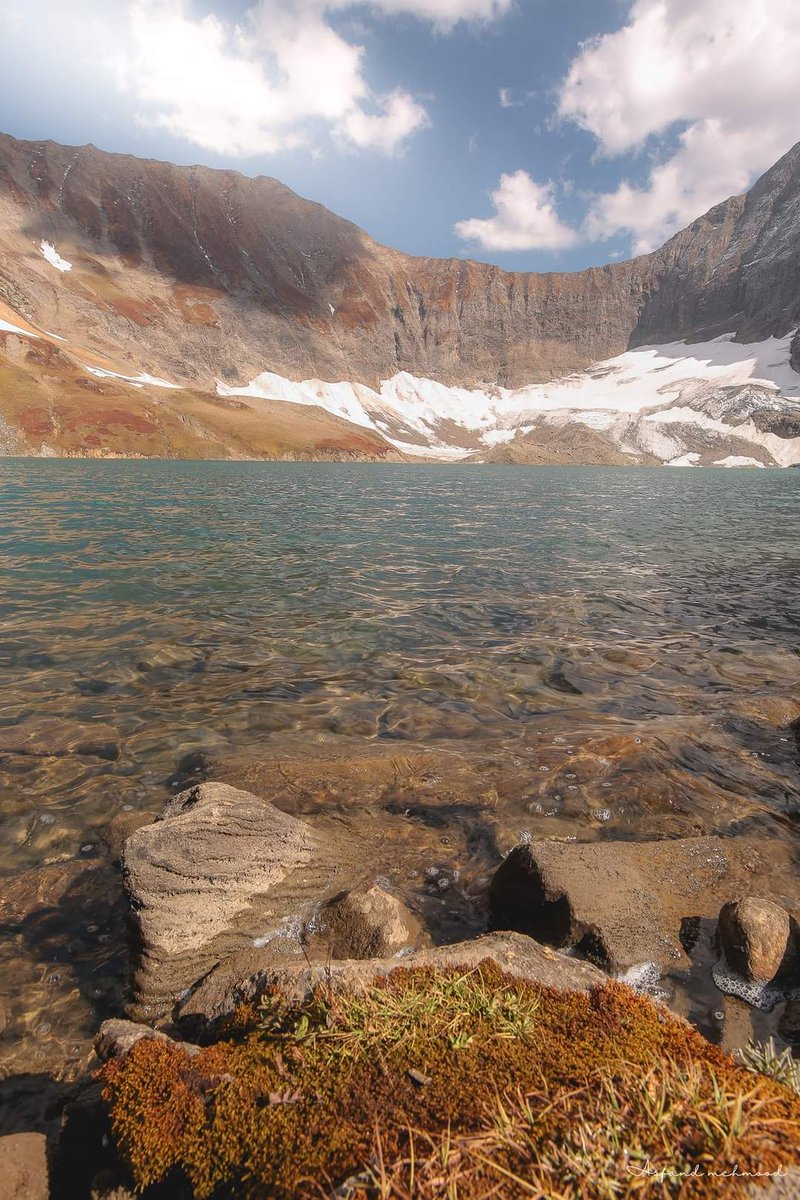 Eco Vibes 🌍 tweet media