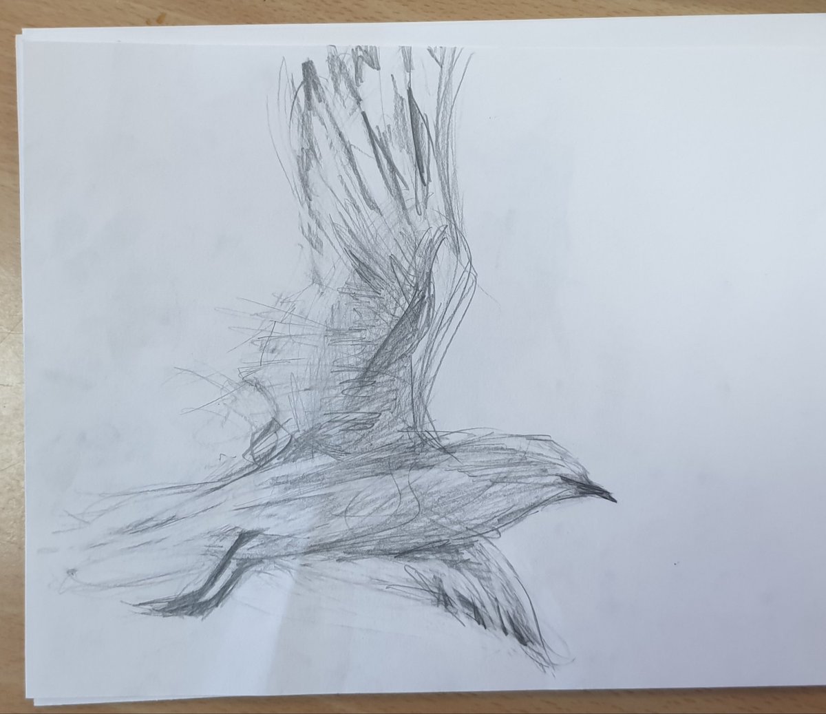 MissMaclean6's tweet photo. The very first lesson of some gestural drawing with S3s before the begin their Mark Hearld inspired birds 🤗 we were thinking about how line can create movement in an image #pdgeart #expressivemarkmaking https://t.co/pT0ir5wA49