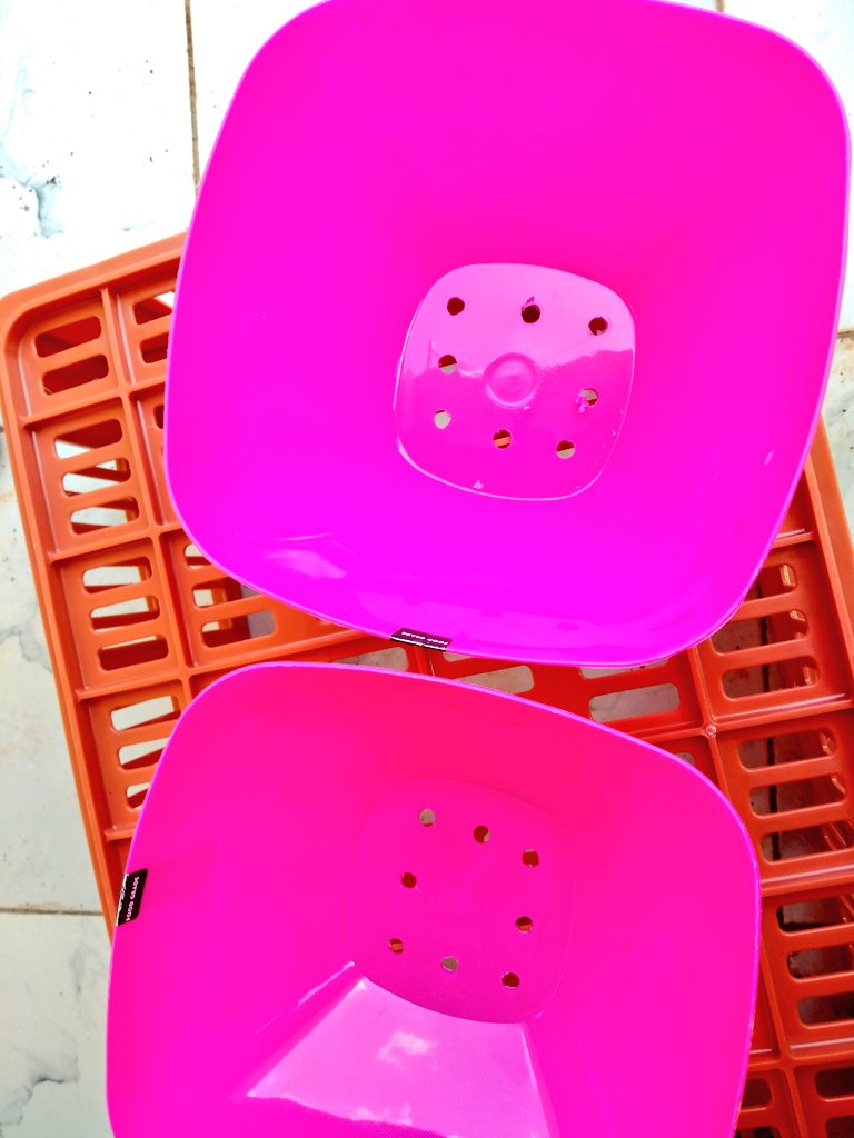 I also learned from  @ForeverMoe_ on IG that you don't have to spend an arm and a leg for costly plant pots. Buy affordable plastic and ceramic bowls and drill holes, paint etc. These bowls were 67 bob each.