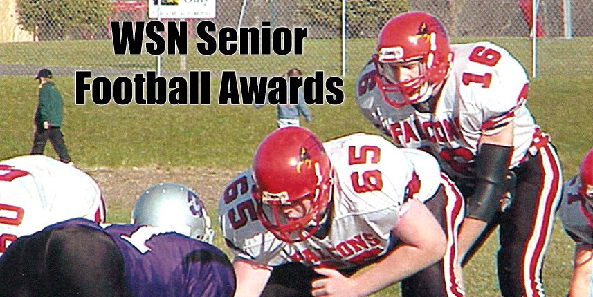 Fan vote for WSN Senior Football Awards now open #wisfb -- wissports.net/news_article/s…