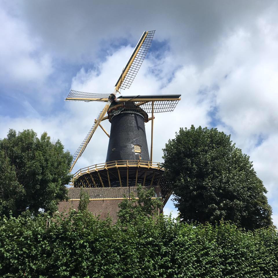 CheeseValley tweet media