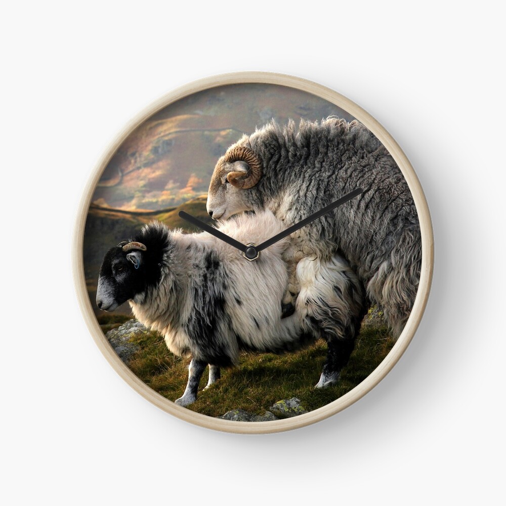 The #bestseller " Naughty Herdwick" is now available as a #clock ! #herdy #herdwick #lakedistrict #cumbria #tup #ram #datenight #love #romance #keswick #windermere #workington #TimeForAction redbubble.com/people/wizards…