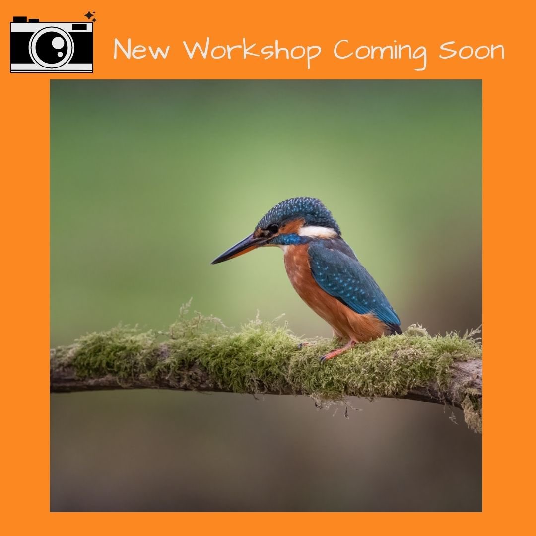 Very excited to be launching Kingfisher hide sessions. For more info message me. #kingfisherhide #Yorkshire