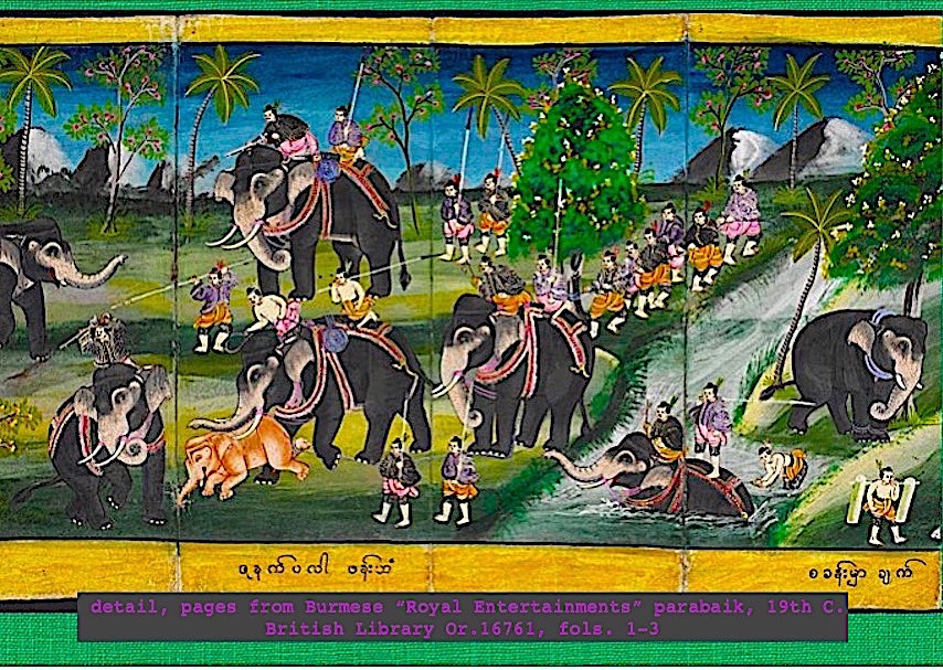 4. Since medieval times wild elephants have been captured in Burma for moving heavy loads, transportation & warfare. They're not really domesticated (not selectively bred.) Elephants served in WW2 Burma & Kachin Independence Army elephants still carry military supplies in north.